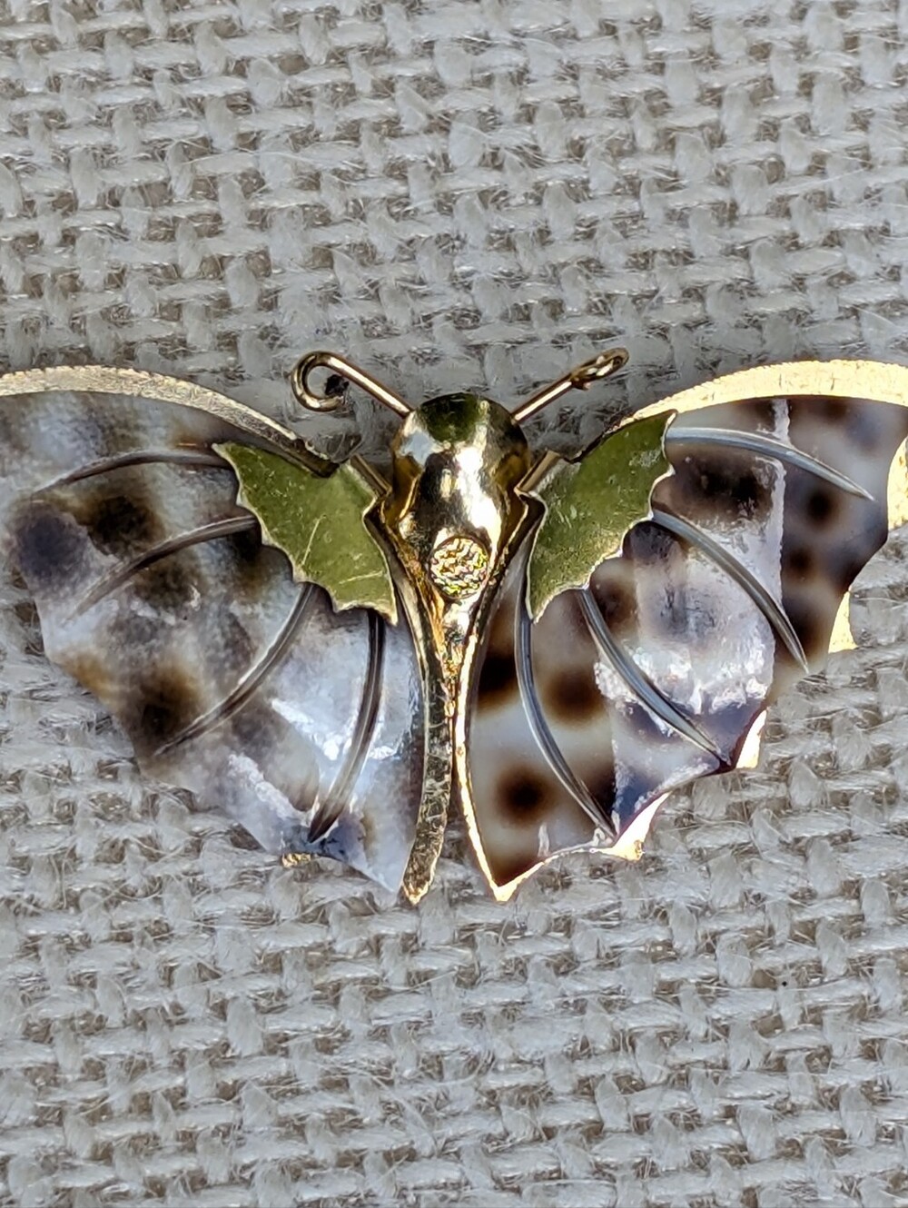 Vintage Shell Butterfly Brooch Gold Tone